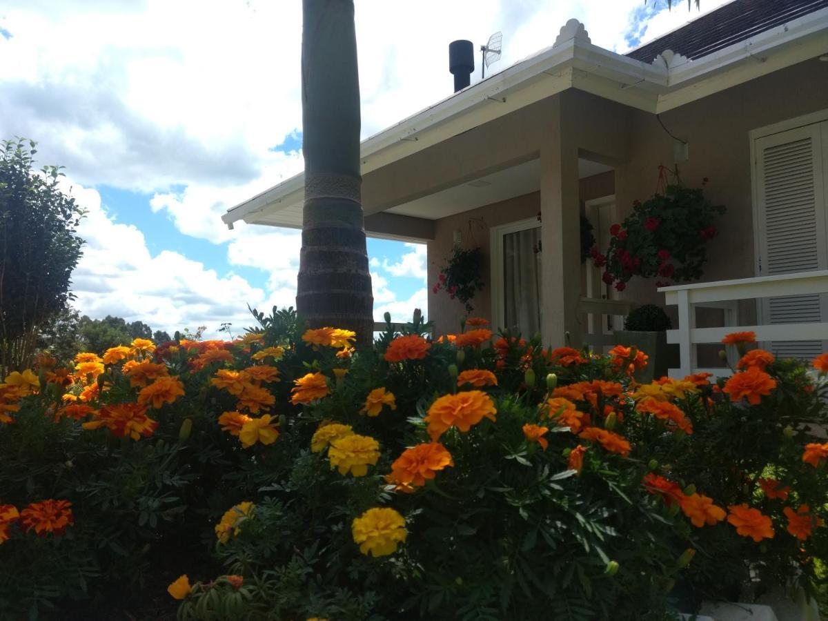 Casa Zanata Apartment Gramado Luaran gambar